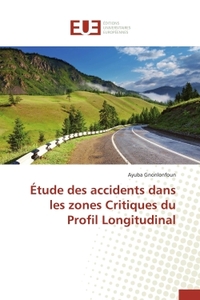 Étude des accidents dans les zones critiques du profil longitudinal
