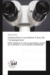Implication la protéine S lors de l'angiogenèse