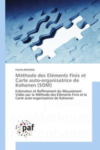 Methode des elements Finis et Carte auto-organisatrice de Kohonen (SOM)