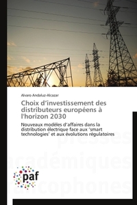 Choix d'investissement des distributeurs européens à l'horizon 2030