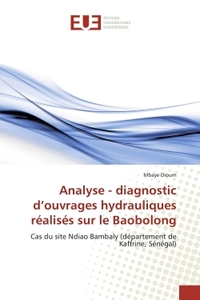 Analyse - diagnostic d'ouvrages hydrauliques réalisés sur le Baobolong