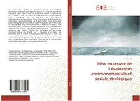 Mise en oeuvre de l'évaluation environnementale et sociale stratégique