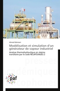 Modélisation et simulation d'un générateur de vapeur industriel