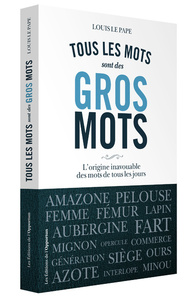 Tous les mots sont des gros mots