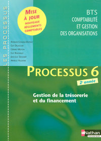 PROCESSUS 6 BTS CGO 2EME ANNEE -GESTION DE LA TRESORERIE ET DU FINANCEMENT- LES PROCESSUS