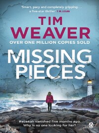 MISSING PIECES