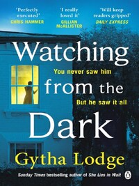 WATCHING FROM THE DARK