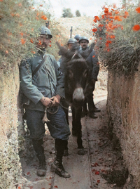 Plaques sensibles. Autochromes de la Grande Guerre