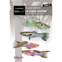 Guppy passion - Le guppy sauvage et les espèces proches