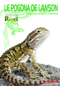 Le pogona de Lawson - Pogona henrylawsoni