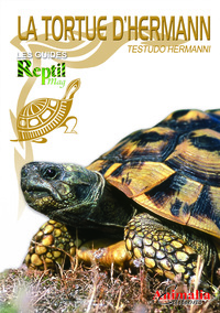 LA TORTUE D'HERMANN ORIENTALE - TESTUDO HERMANNI BOETTGERI