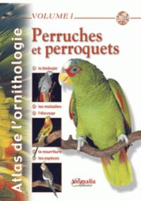 Perruches et perroquets