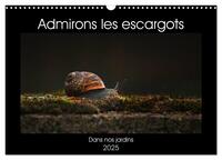 ADMIRONS LES ESCARGOTS (CALENDRIER MURAL 2025 DIN A3 VERTICAL), CALVENDO CALENDRIER MENSUEL - DANS N