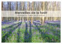 Merveilles de la forêt - Voyage au coeur de la nature (Calendrier mural 2025 DIN A3 vertical), CALVENDO calendrier mensuel