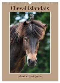 Cheval islandais - calendrier anniversaire (Calendrier mural 2025 DIN A3 horizontal), CALVENDO calendrier mensuel