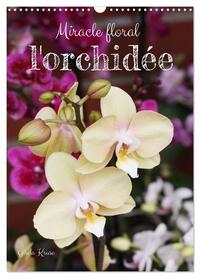 Miracle floral l'orchidée (Calendrier mural 2025 DIN A3 horizontal), CALVENDO calendrier mensuel