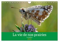 LA VIE DE NOS PRAIRIE, LES PAPILLONS (CALENDRIER MURAL 2025 DIN A4 VERTICAL), CALVENDO CALENDRIER ME