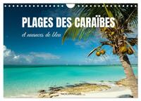 PLAGES DES CARAIBES ET NUANCES DE BLEU (CALENDRIER MURAL 2025 DIN A4 VERTICAL), CALVENDO CALENDRIER