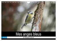 Mes anges bleus en Île-de-France (Calendrier mural 2025 DIN A4 vertical), CALVENDO calendrier mensuel