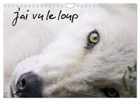 J'AI VU LE LOUP (CALENDRIER MURAL 2025 DIN A4 VERTICAL), CALVENDO CALENDRIER MENSUEL - LOUPS GRIS ET