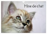 Mine de chat (Calendrier mural 2025 DIN A4 vertical), CALVENDO calendrier mensuel