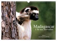 Madagascar L'île aux merveilles (Calendrier mural 2025 DIN A3 vertical), CALVENDO calendrier mensuel