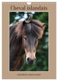 Cheval islandais - calendrier anniversaire (Calendrier mural 2025 DIN A4 horizontal), CALVENDO calendrier mensuel