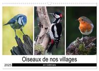 Oiseaux de nos villages en Gâtinais (Calendrier mural 2025 DIN A3 vertical), CALVENDO calendrier mensuel