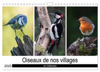Oiseaux de nos villages en Gâtinais (Calendrier mural 2025 DIN A4 vertical), CALVENDO calendrier mensuel