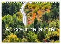 AU COEUR DE LA FORET (CALENDRIER MURAL 2025 DIN A4 VERTICAL), CALVENDO CALENDRIER MENSUEL - BALADE P