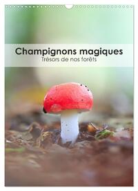 Champignons magiques - Trésors de nos forêts (Calendrier mural 2025 DIN A3 horizontal), CALVENDO calendrier mensuel