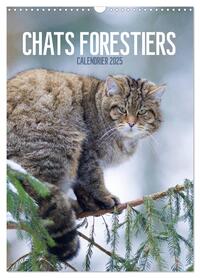 Chats forestiers (Calendrier mural 2025 DIN A3 horizontal), CALVENDO calendrier mensuel