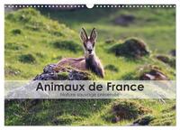 Animaux de France - Nature sauvage préservée (Calendrier mural 2025 DIN A3 vertical), CALVENDO calendrier mensuel