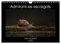 ADMIRONS LES ESCARGOTS (CALENDRIER MURAL 2025 DIN A4 VERTICAL), CALVENDO CALENDRIER MENSUEL - DANS N