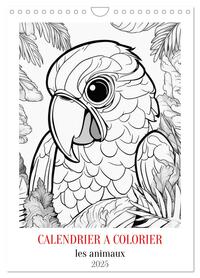 CALENDRIER A COLORIER (CALENDRIER MURAL 2025 DIN A4 HORIZONTAL), CALVENDO CALENDRIER MENSUEL - DECOU