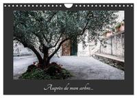 AUPRES DE MON ARBRE (CALENDRIER MURAL 2025 DIN A4 VERTICAL), CALVENDO CALENDRIER MENSUEL - AU TRAVER