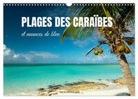 PLAGES DES CARAIBES ET NUANCES DE BLEU (CALENDRIER MURAL 2025 DIN A3 VERTICAL), CALVENDO CALENDRIER