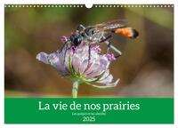 LA VIE DE NOS PRAIRIES - LES GUEPES ET LES ABEILLES (CALENDRIER MURAL 2025 DIN A3 VERTICAL), CALVEND