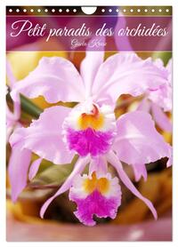 Petit paradis des orchidées (Calendrier mural 2025 DIN A4 horizontal), CALVENDO calendrier mensuel
