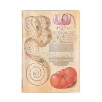 CARNET SOUPLE PAPERBLANKS LYS & TOMATE MIDI LIGNE 176P.