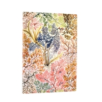 Carnet souple Paperblanks Anémone Midi Ligné 176p.