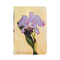Carnet à couverture rigide Orchidée Brésilienne - Mini - Non ligné - 176 p.