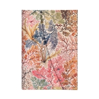 CARNET A COUVERTURE RIGIDE ANEMONE - MINI - LIGNE - 176 P.