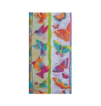 12 Mois 2024 Colibris et Papillons  - Slim - Horizontal - 160 p.
