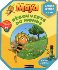 CAHIER D'ACTIVITES MAYA DECOUVERTE DU MONDE GS