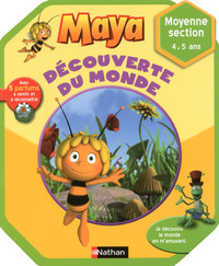 CAHIER D'ACTIVITES MAYA DECOUVERTE DU MONDE MS