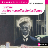 La folie dans les nouvelles fantastiques - Guy de Maupassant - 26