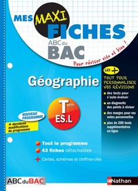 Mes MAXI Fiches Géographie Terminale ES.L