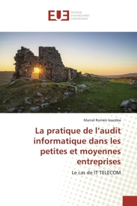La pratique de l'audit informatique dans les petites et moyennes entreprises