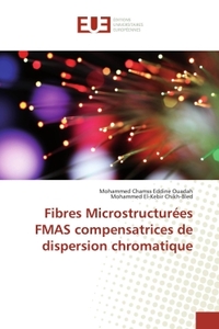 Fibres Microstructurees FMAS compensatrices de dispersion chromatique